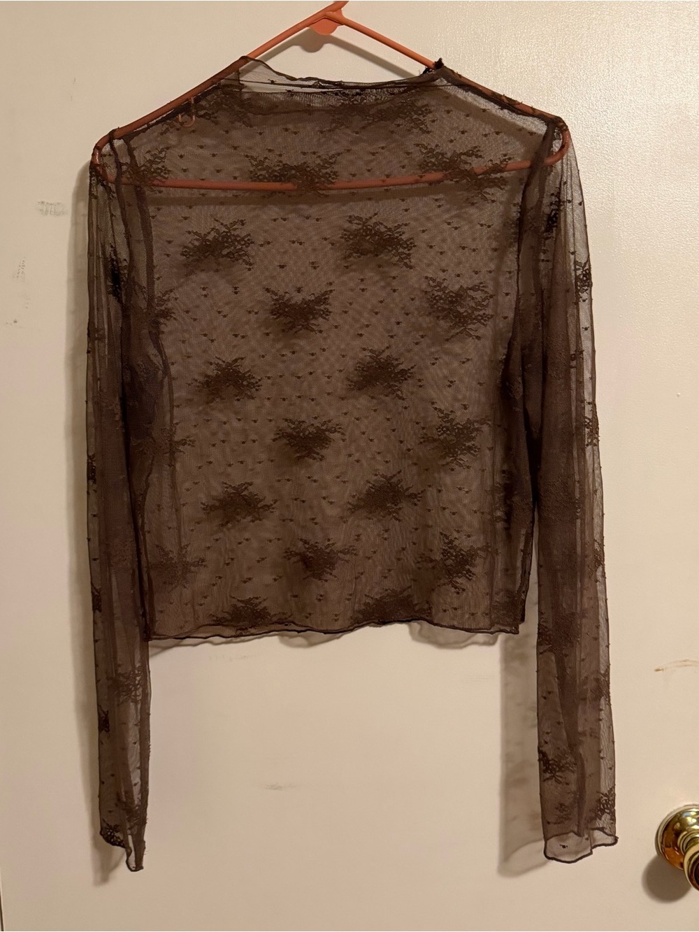 aerie Sheer Brown Lace Long-Sleeve Top